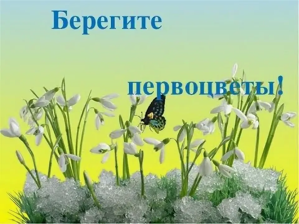 ���������� ����������� ����������ۻ