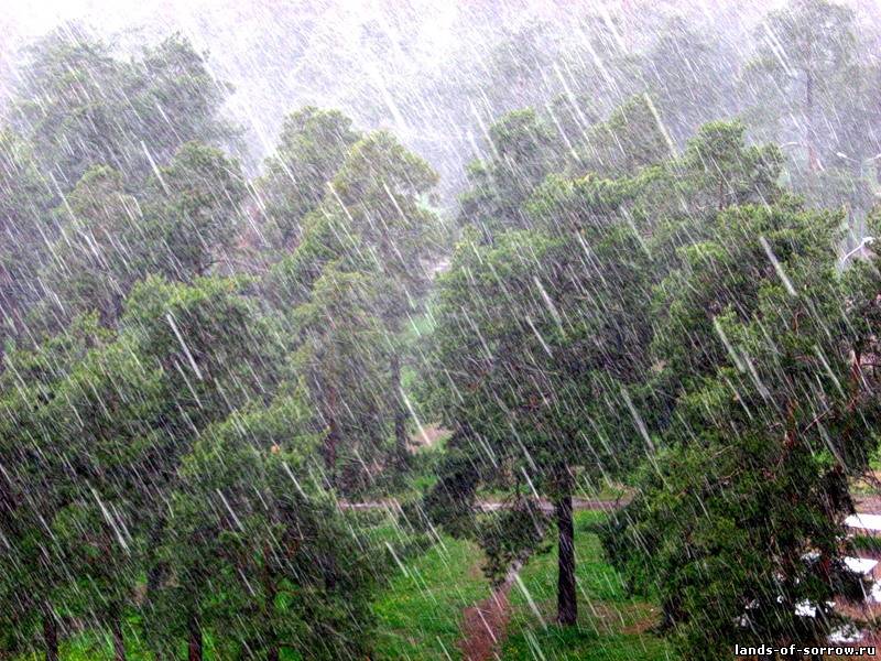 ���������� �������������� �� 11.04.2022�.