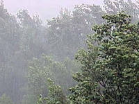 ���������� �������������� �� 01.09.2024�. ����