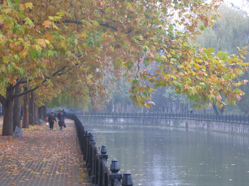 ���������� �������������� �� 29.05.2025�.