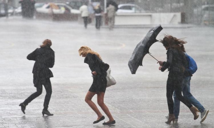 ���������� �������������� �� 21.11.2024�.