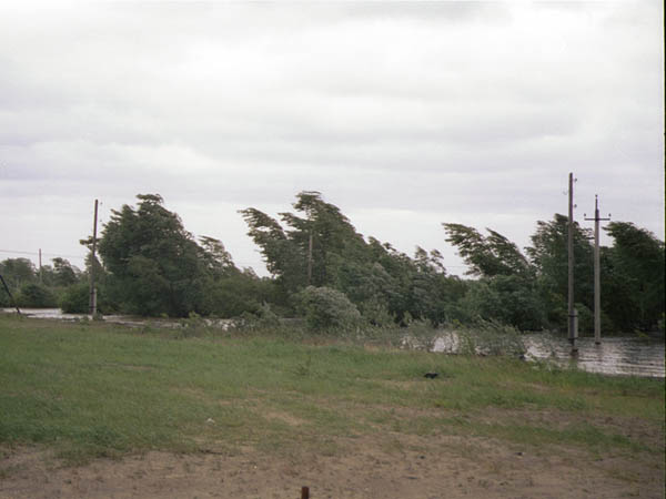 ���������� �������������� �� 26.05.2025 �.