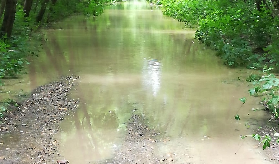 Уровень воды сегодня в реке кубань краснодар